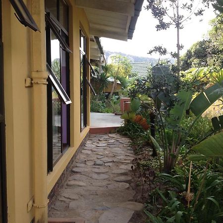 Hostel Jungle Monkey Backpackers Port Saint Johnʼs Exteriér fotografie