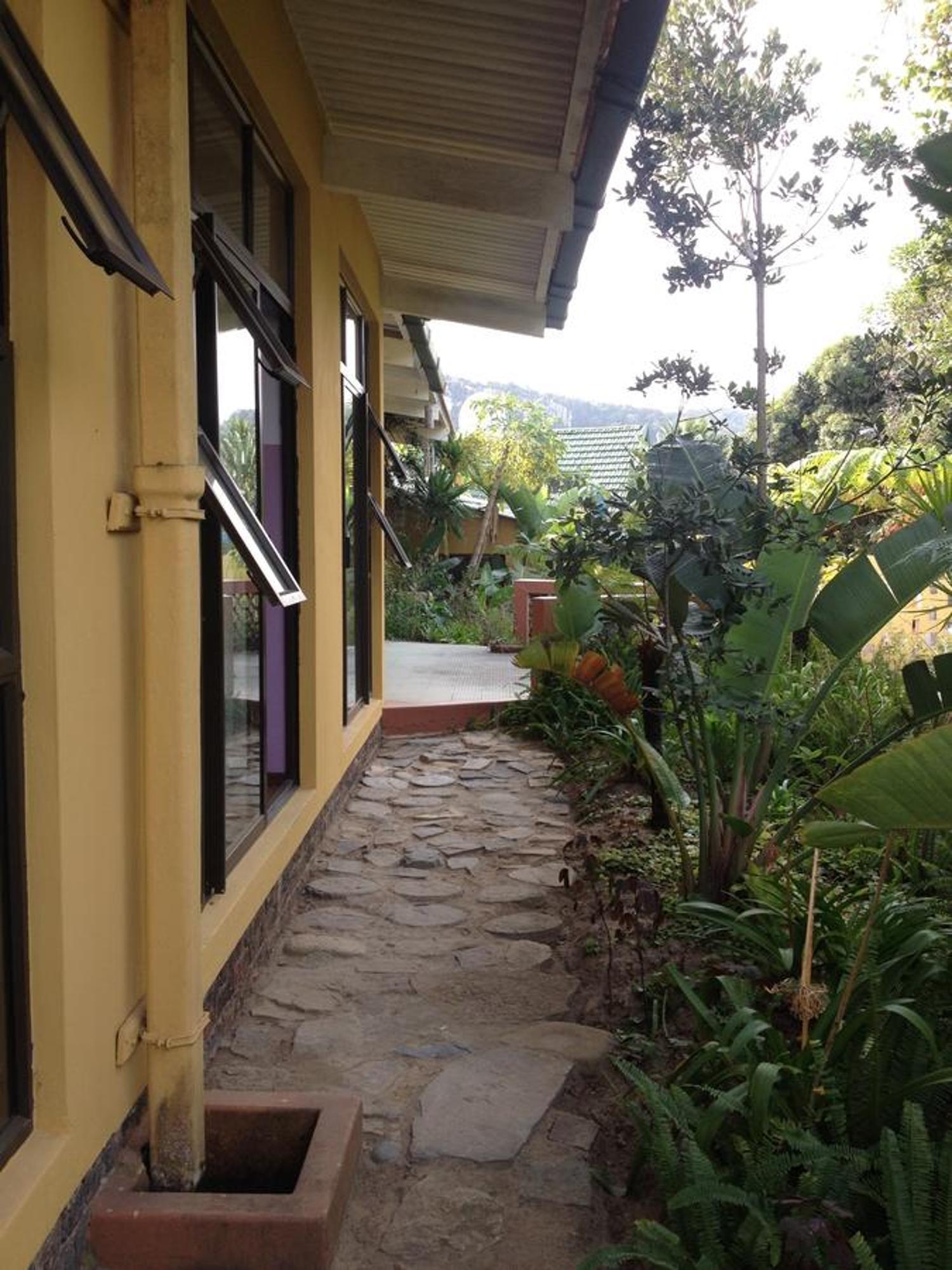 Hostel Jungle Monkey Backpackers Port Saint Johnʼs Exteriér fotografie