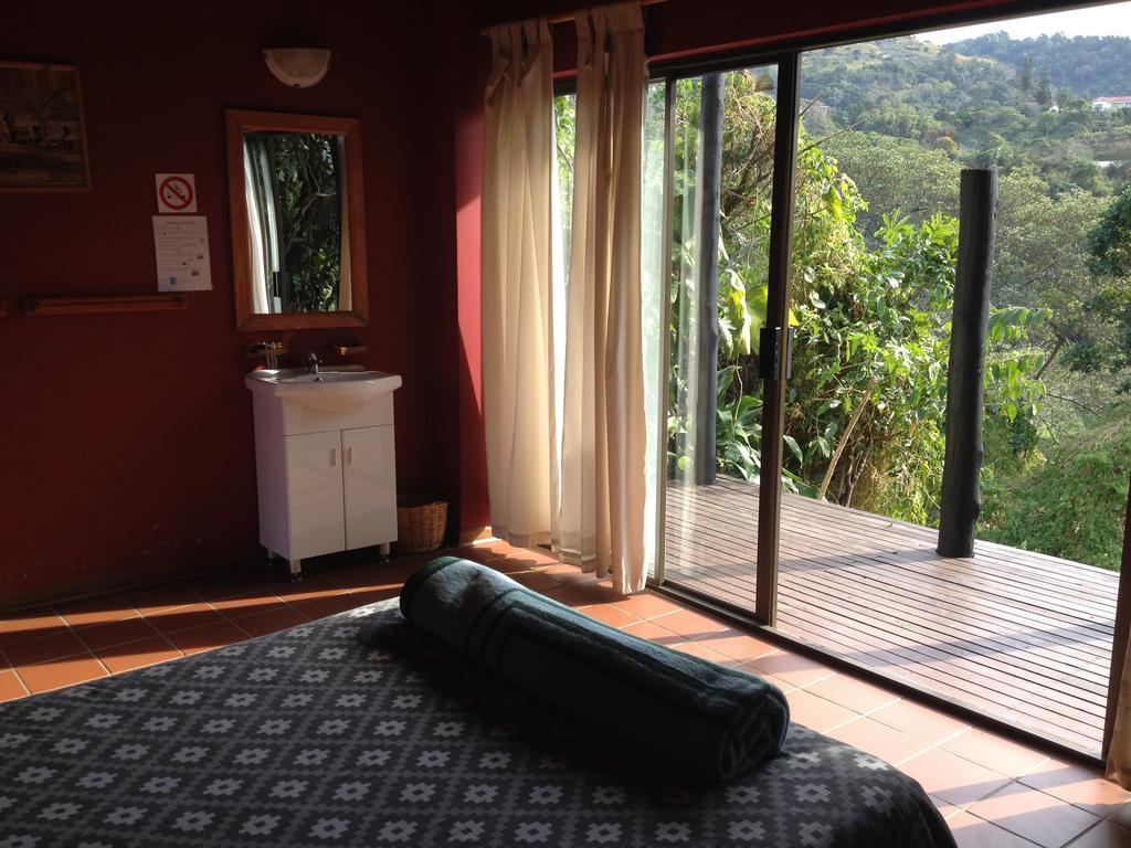 Hostel Jungle Monkey Backpackers Port Saint Johnʼs Pokoj fotografie