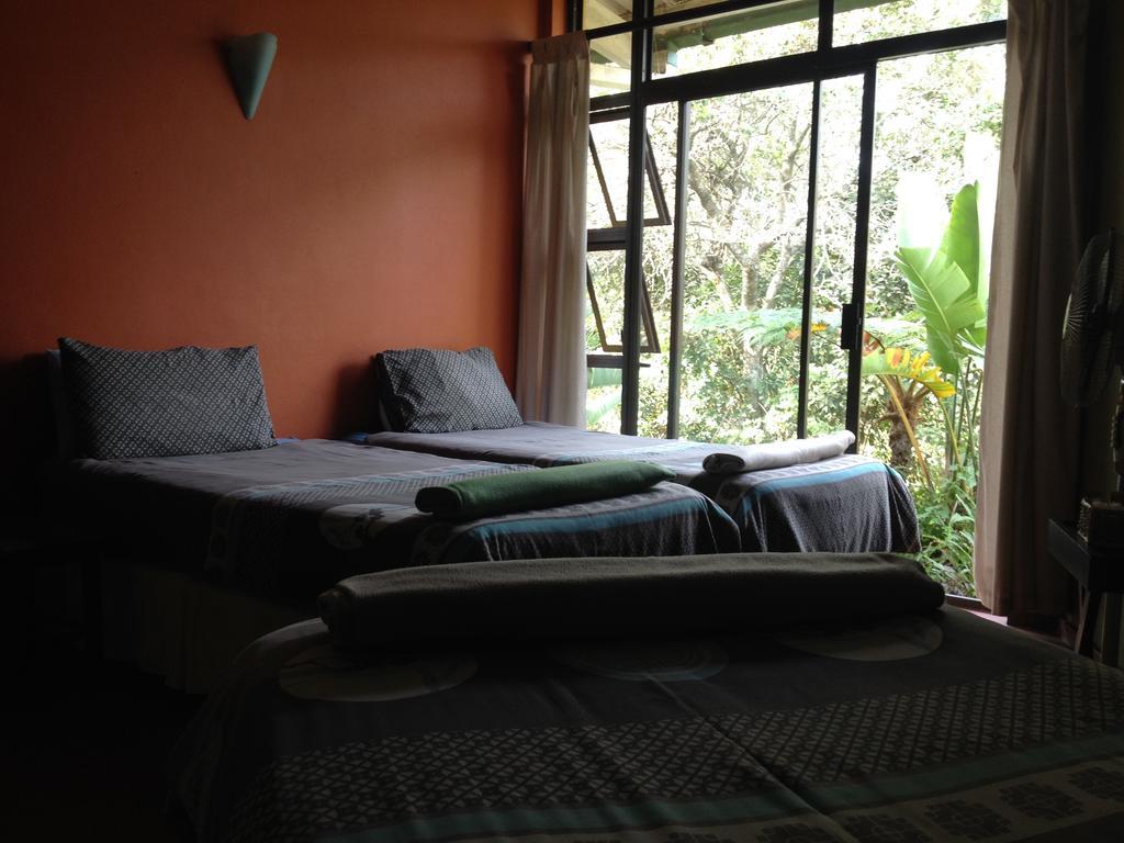 Hostel Jungle Monkey Backpackers Port Saint Johnʼs Pokoj fotografie