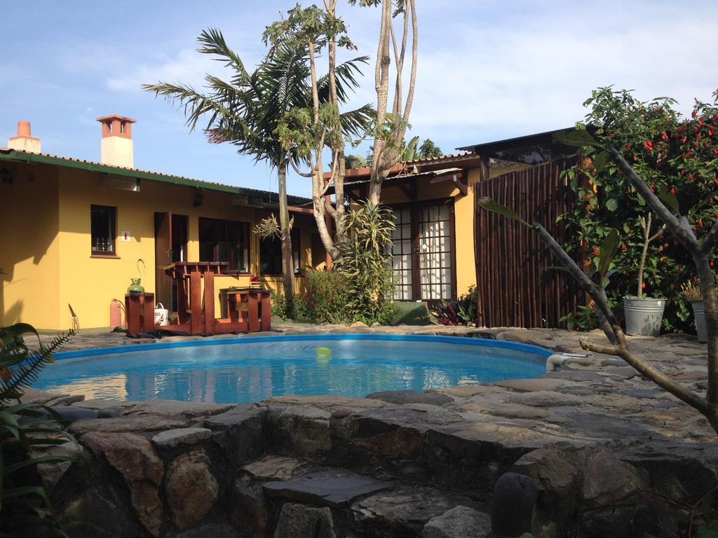 Hostel Jungle Monkey Backpackers Port Saint Johnʼs Pokoj fotografie