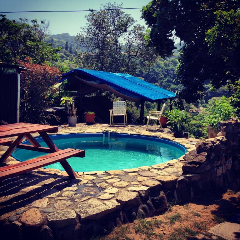 Hostel Jungle Monkey Backpackers Port Saint Johnʼs Pokoj fotografie