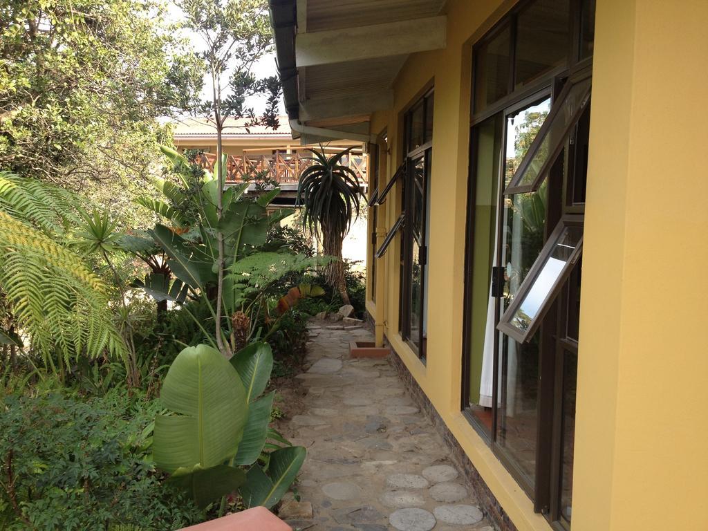 Hostel Jungle Monkey Backpackers Port Saint Johnʼs Pokoj fotografie