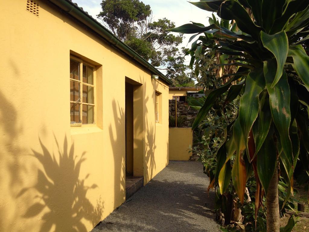 Hostel Jungle Monkey Backpackers Port Saint Johnʼs Pokoj fotografie