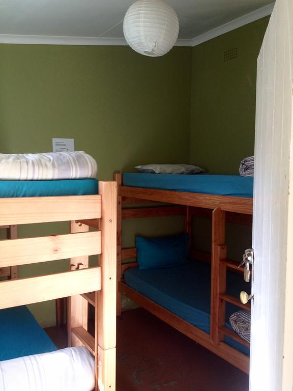 Hostel Jungle Monkey Backpackers Port Saint Johnʼs Pokoj fotografie