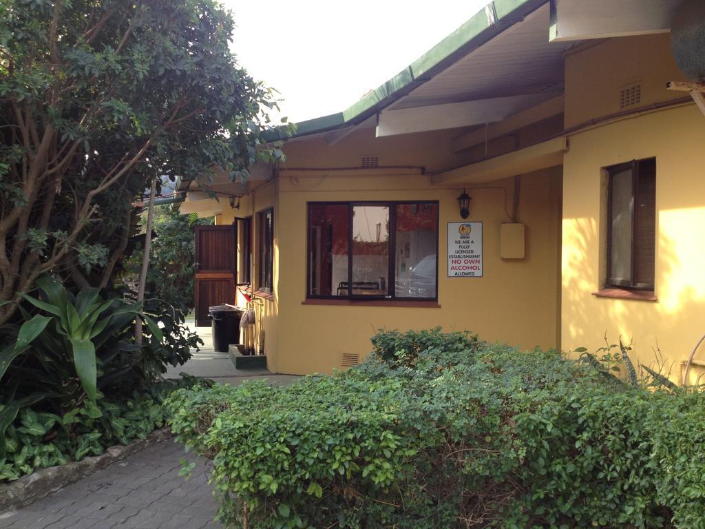 Hostel Jungle Monkey Backpackers Port Saint Johnʼs Pokoj fotografie