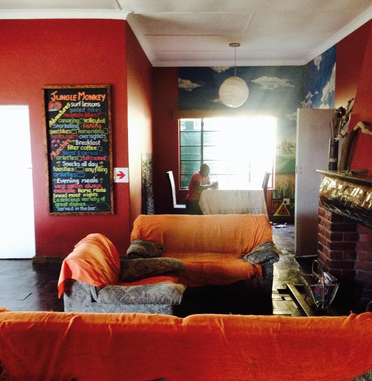 Hostel Jungle Monkey Backpackers Port Saint Johnʼs Pokoj fotografie