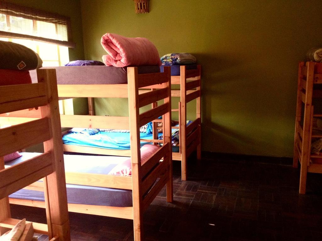 Hostel Jungle Monkey Backpackers Port Saint Johnʼs Pokoj fotografie