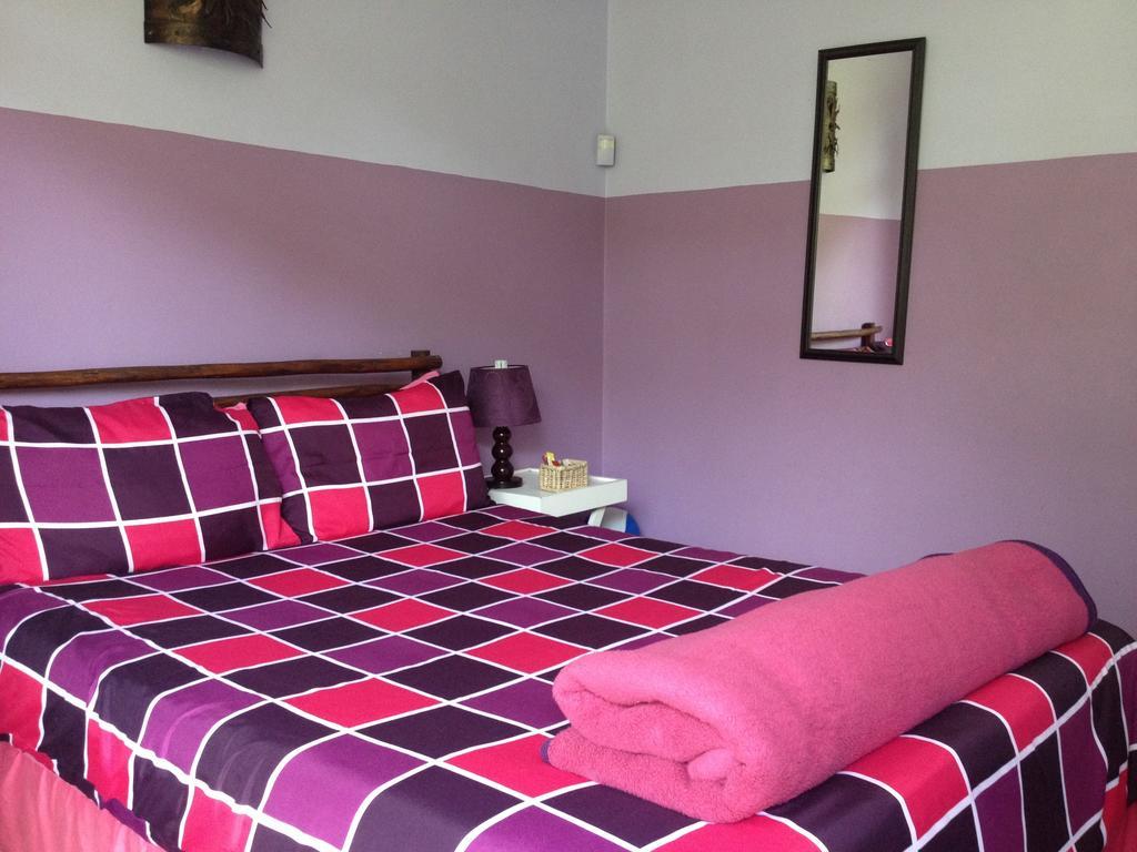Hostel Jungle Monkey Backpackers Port Saint Johnʼs Pokoj fotografie