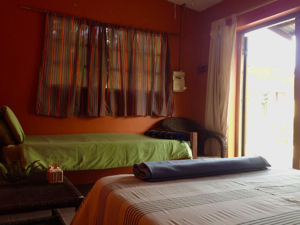 Hostel Jungle Monkey Backpackers Port Saint Johnʼs Pokoj fotografie