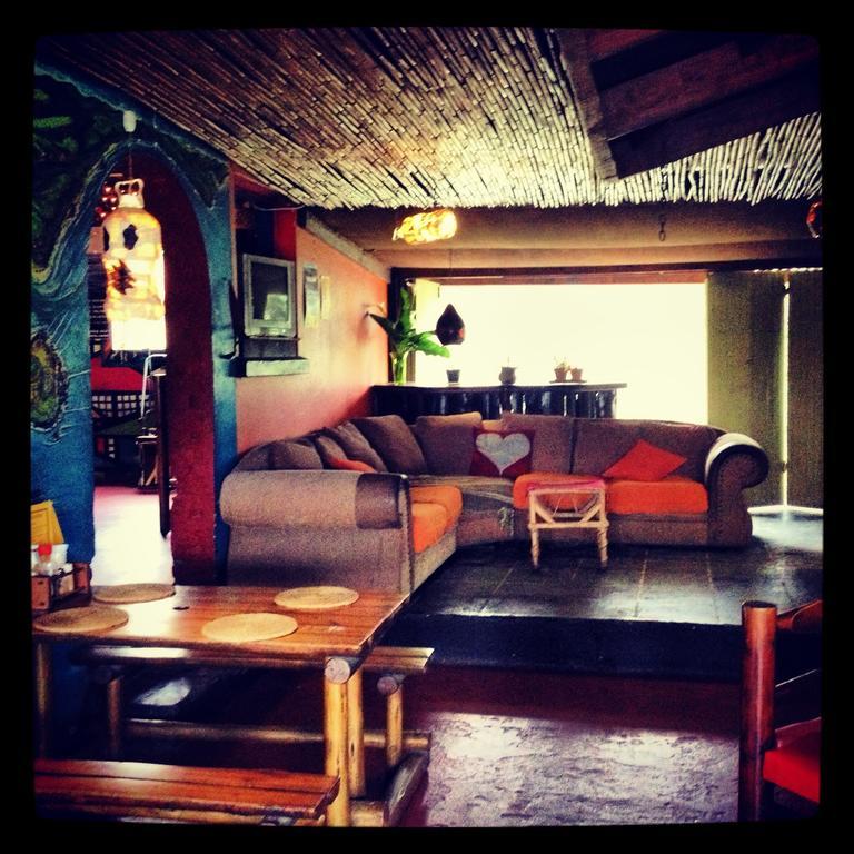 Hostel Jungle Monkey Backpackers Port Saint Johnʼs Exteriér fotografie