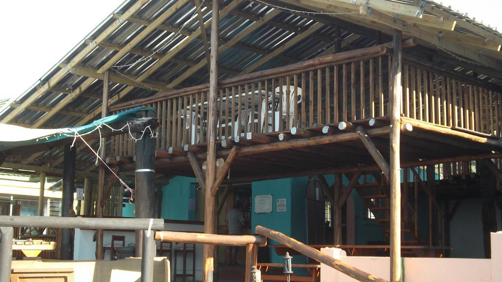 Hostel Jungle Monkey Backpackers Port Saint Johnʼs Exteriér fotografie