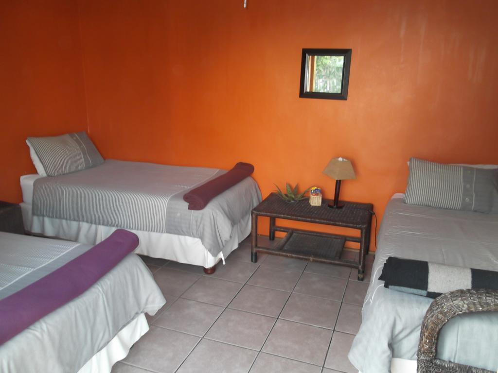 Hostel Jungle Monkey Backpackers Port Saint Johnʼs Exteriér fotografie