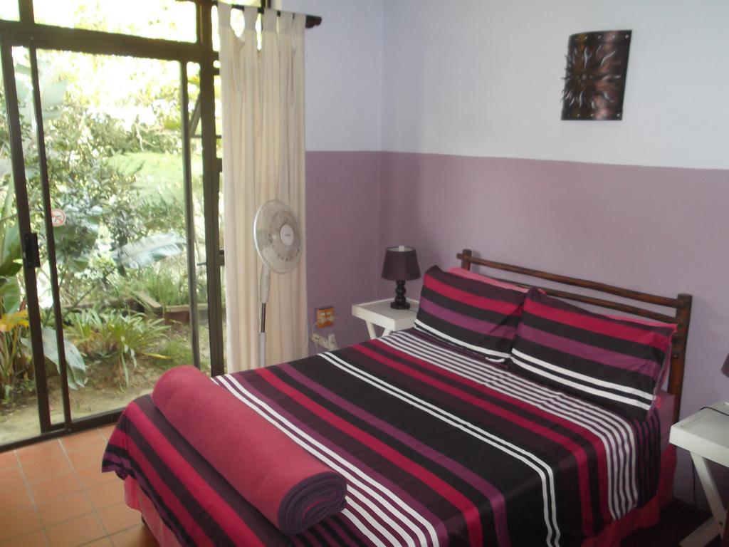 Hostel Jungle Monkey Backpackers Port Saint Johnʼs Exteriér fotografie